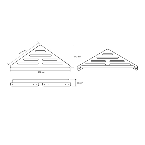 Mýdlenka plochá velká, DARK